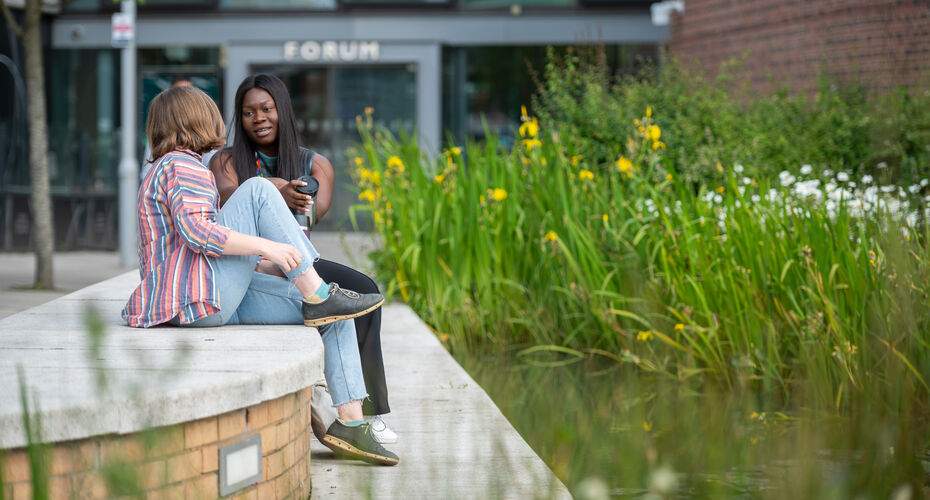 Two students sitting on a wall by a pond with yellow flowers