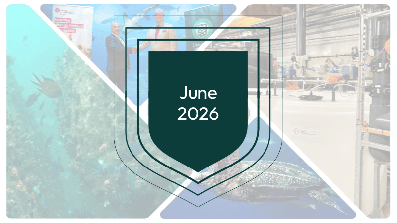 June 2026