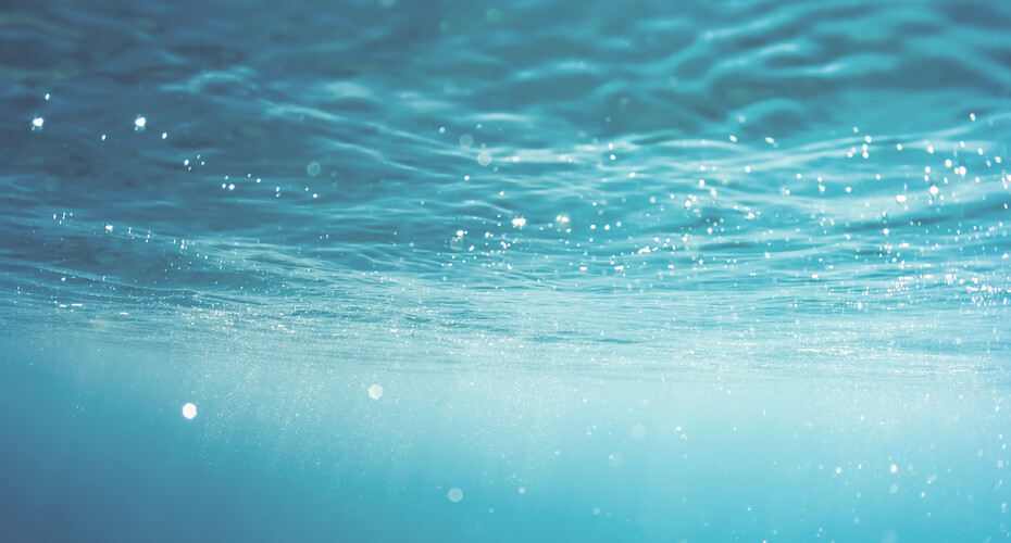 Underwater view