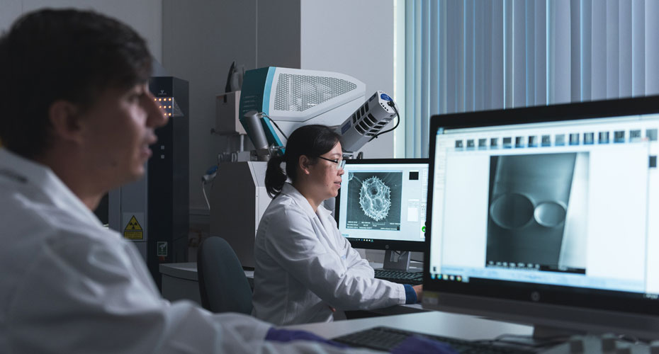 Two researchers looking at microscope images in close up on computer screens