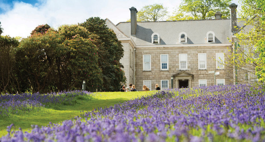 Tremough House Penryn Bluebells