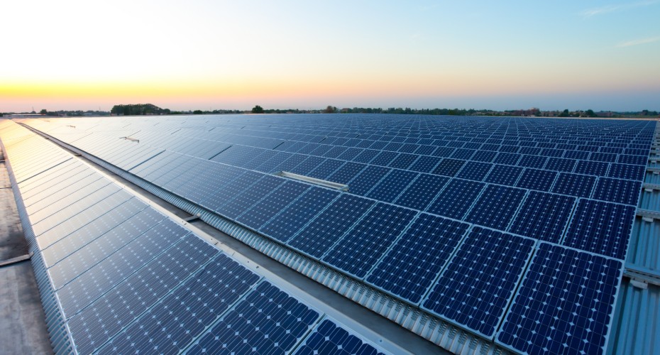 Solar panels on a solar farm