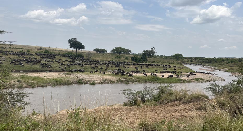 River running through African grassland