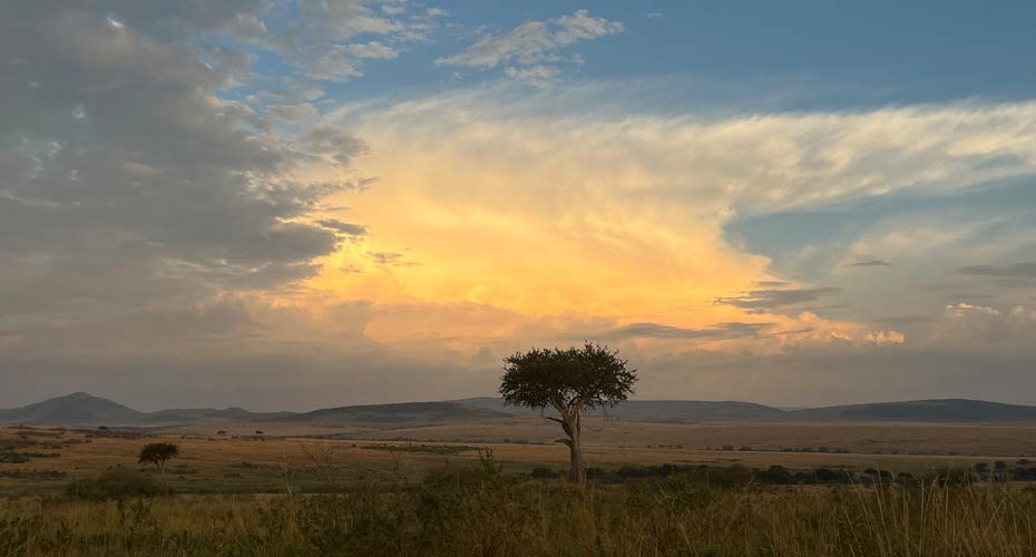 African landscape