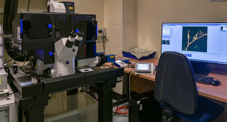 Zeiss Elyra 7 lattice SIM