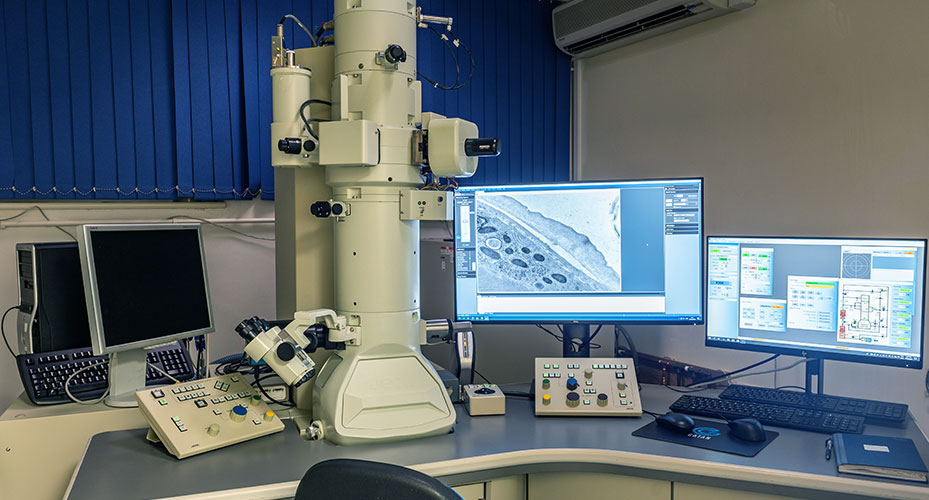 JEOL JEM 1400 Transmission Electron Microscope