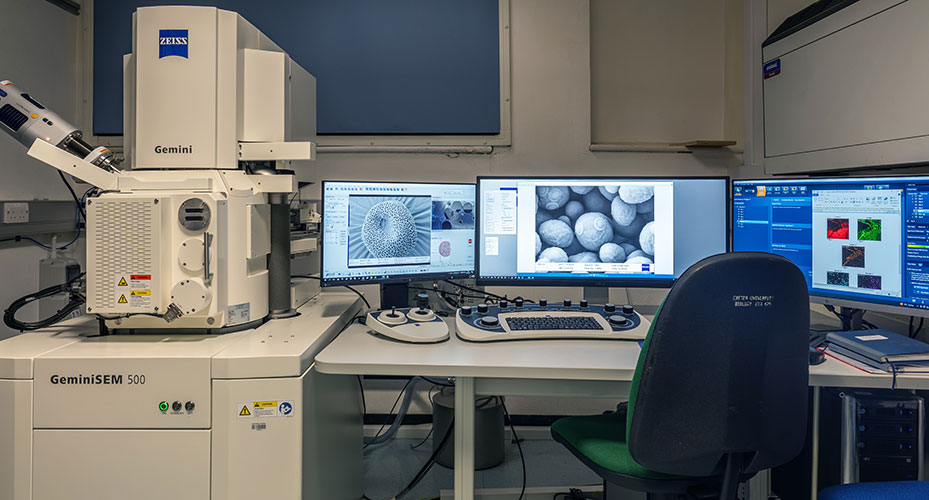 Zeiss Gemini 500 SEM