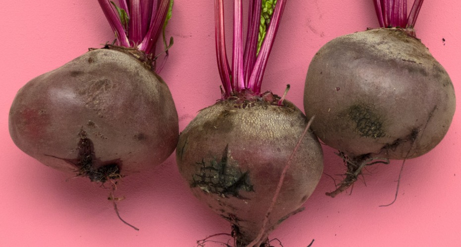 Bunch of beetroot