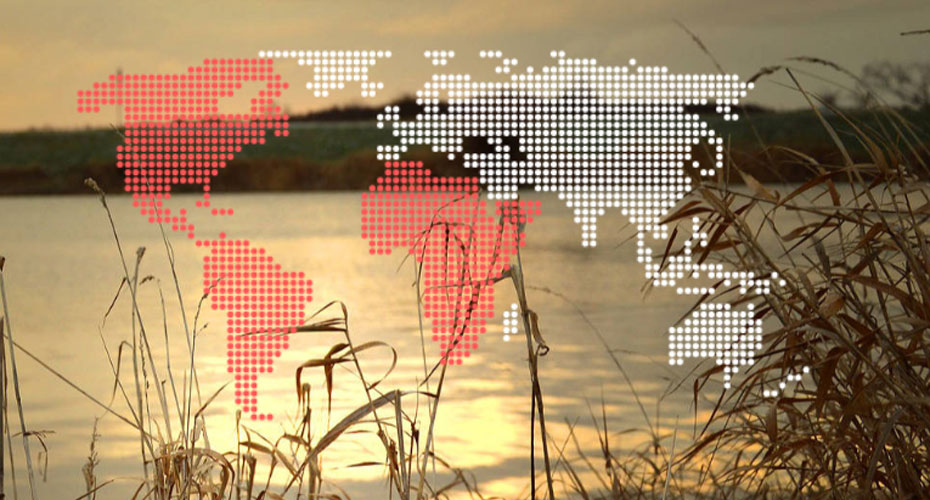 World map on background