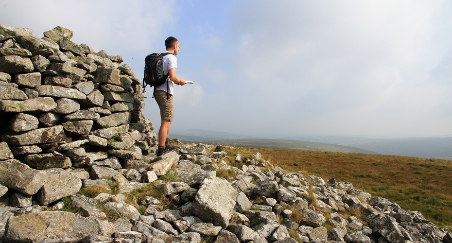 A man standing on a rock wall, gazing at majestic mountains in the distance.