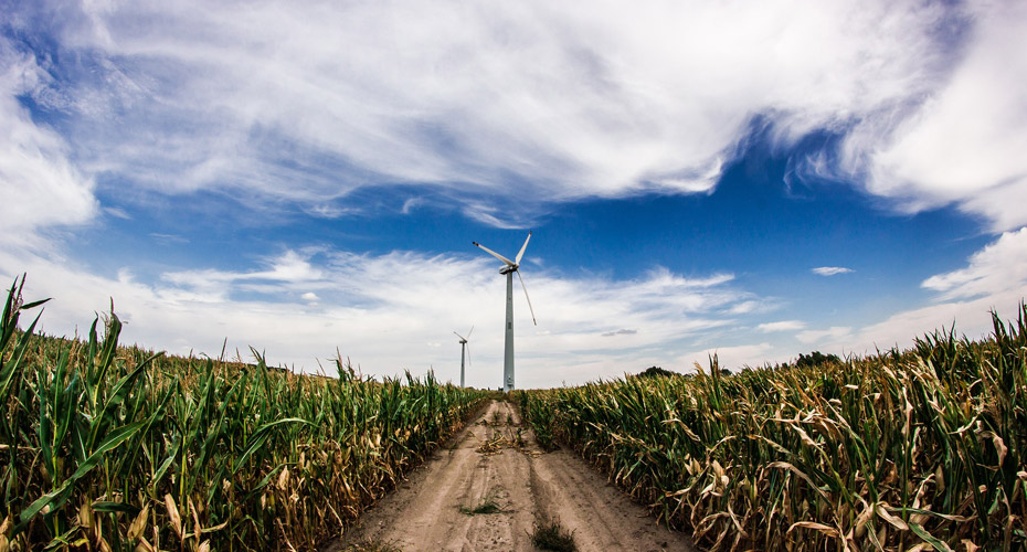 A wind turbine stands tall amidst a lush corn field, harnessing the power of the wind to generate clean and renewable energy.