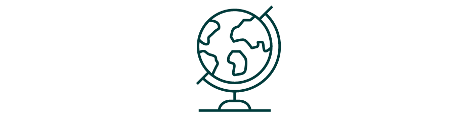 Globe icon