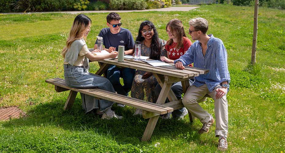 Students sitting round a picnic bench