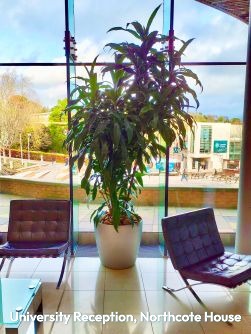 University Reception, Northcote House