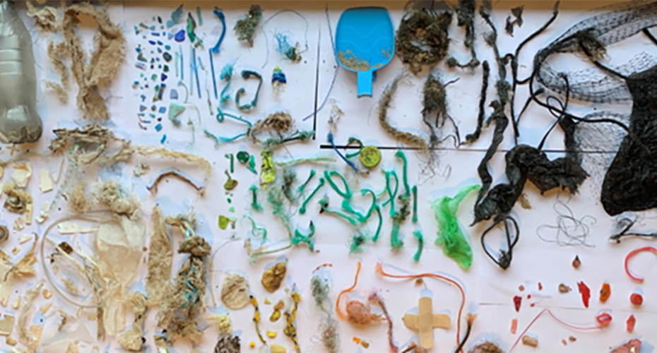A collection of plastic found on a beach
