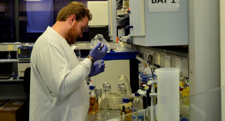 A laboratory at the Biocatylsis Centre